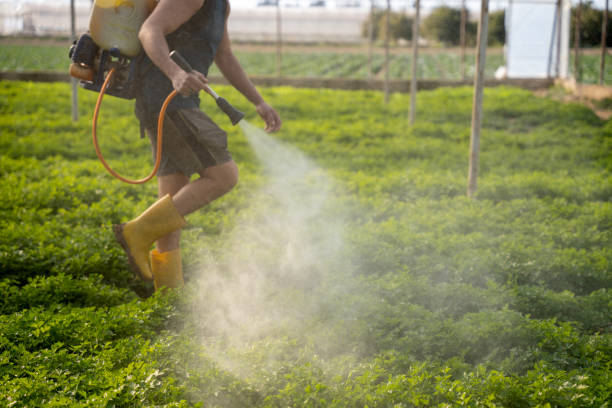 Best Pest Control Treatment  in Moriches, NY