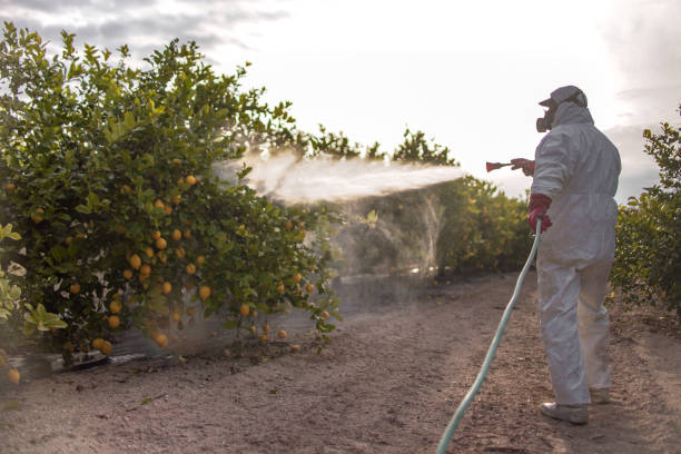 Best Mosquito Control Services  in Moriches, NY