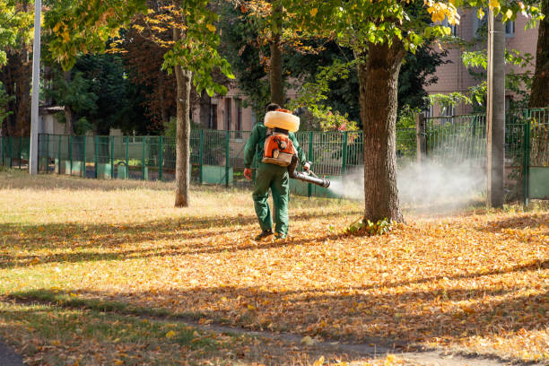 Trusted Moriches, NY Pest Control Experts